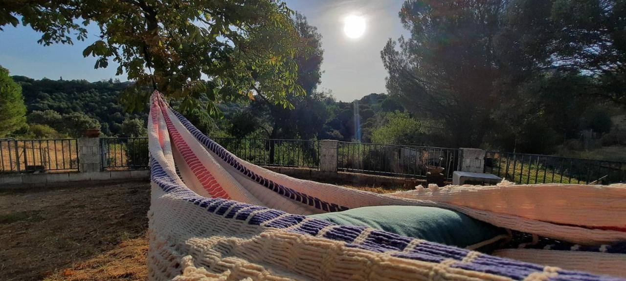 Entre Pinos Y Medusas Appartamento Pedrezuela Esterno foto